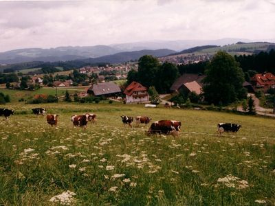 Ferienwohnung für 3 Personen (45 m²) in Sankt Peter (Schwarzwald) 10/10