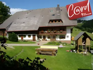 Ferienwohnung für 4 Personen (55 m²) in Sankt Peter (Schwarzwald)