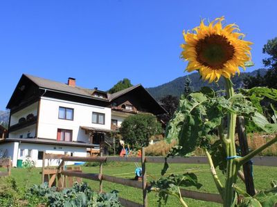 Ferienwohnung für 4 Personen (40 m²) in Sankt Stefan an der Gail 2/10