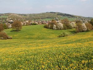 24022020-Ferienwohnung-2-Sankt Wendel-300x225-5