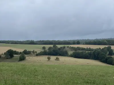 Auf dem Berg