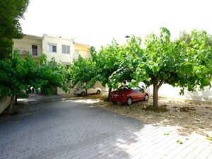 23859565-Ferienwohnung-7-Sant Carles de la Ràpita-300x225-2