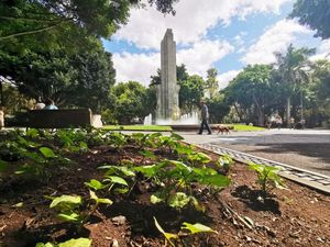 23361719-Ferienwohnung-3-Santa Cruz de Tenerife-300x225-4