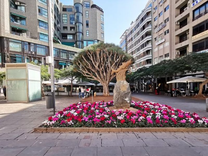 23832082-Ferienwohnung-5-Santa Cruz de Tenerife-800x600-2