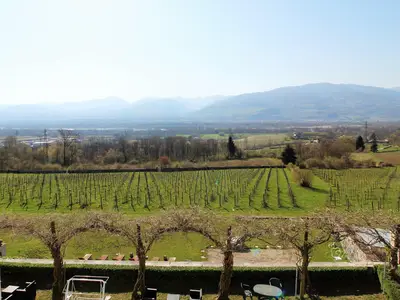 ViewSummer