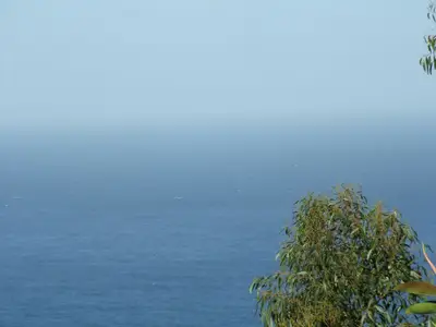 Ferienwohnung für 4 Personen (97 m²) in Santa Úrsula 8/10