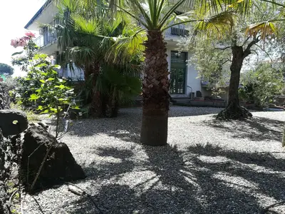 ExteriorSummer