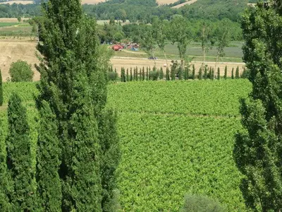 Ausblick aus dem Fenster