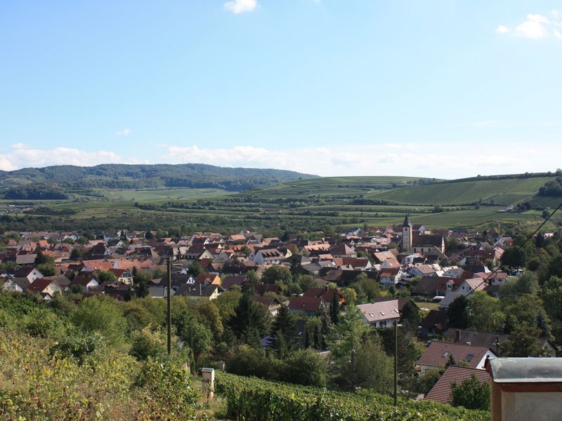 19214504-Ferienwohnung-4-Sasbach am Kaiserstuhl-800x600-1