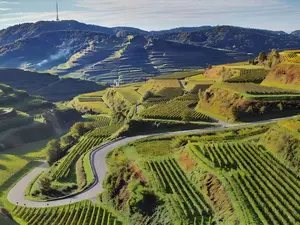 Ferienwohnung für 5 Personen (99 m²) in Sasbach am Kaiserstuhl