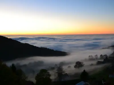 Ausblick