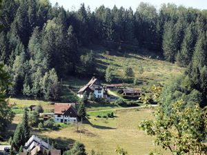 23846260-Ferienwohnung-3-Sasbachwalden-300x225-2