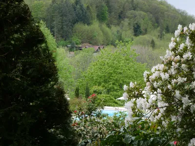 Ferienwohnung für 4 Personen (80 m²) in Sasbachwalden 9/10