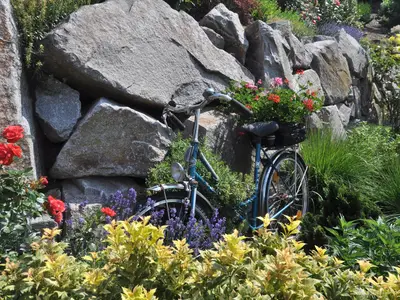 Gartenimpressionen