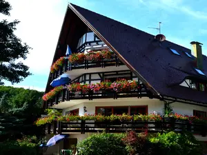 Ferienwohnung für 3 Personen (60 m²) in Sasbachwalden