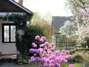 Ferienwohnung für 4 Personen (60 m²) in Sassenburg