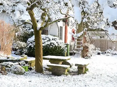 Ferienwohnung Gutshof Triangel  Garten