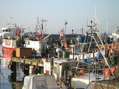 Hafen in Sassnitz