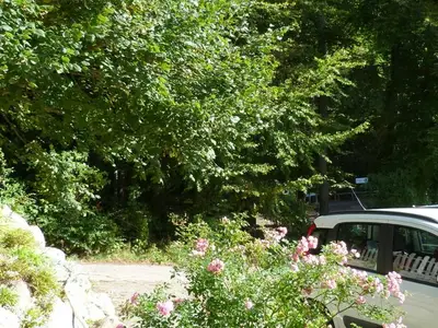 Ferienwohnung für 4 Personen (65 m²) in Sassnitz 4/10