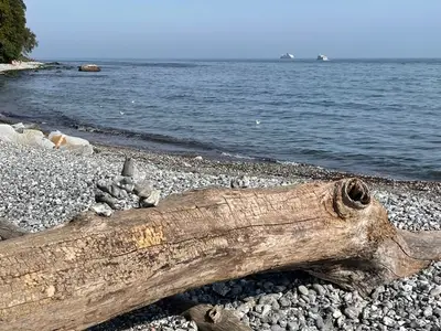 Ferienwohnung für 3 Personen (47 m²) in Sassnitz 5/10