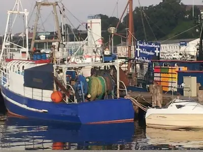Ferienwohnung für 3 Personen (39 m²) in Sassnitz 9/10