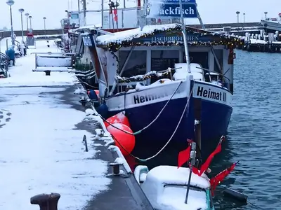 Ferienwohnung für 2 Personen (29 m²) in Sassnitz 8/10