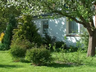 Ferienwohnung für 4 Personen (54 m²) in Sassnitz 1/8