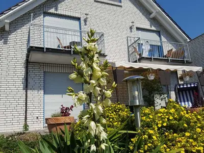 Ferienwohnung für 3 Personen (35 m²) in Sassnitz 7/10