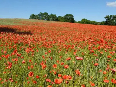 Ferienwohnung für 2 Personen (47 m²) in Sassnitz 4/10