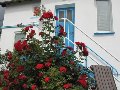 Ferienwohnung für 2 Personen (35 m²) in Sassnitz 1/10