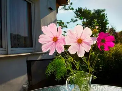 Ferienwohnung für 4 Personen (70 m²) in Sassnitz 4/10