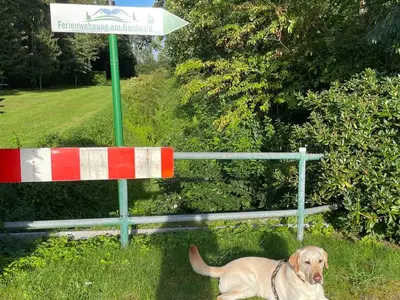 Ferienwohnung für 2 Personen (81 m²) in Saterland 5/10