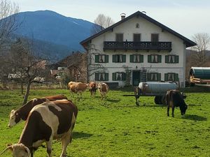 Ferienwohnung für 4 Personen (42 m²) in Saulgrub