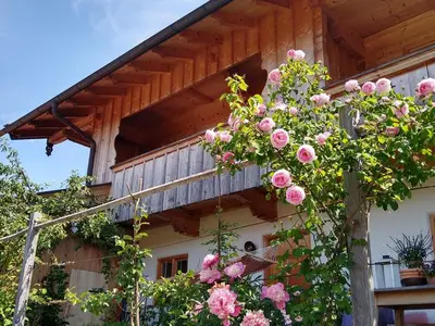 Ferienwohnung für 5 Personen (80 m²) in Saulgrub 2/10