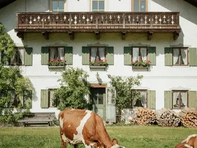 Ferienwohnung für 4 Personen (60 m²) in Saulgrub 1/10