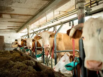 Ferienwohnung für 4 Personen (60 m²) in Saulgrub 3/10