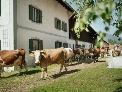 Ferienwohnung für 4 Personen (60 m²) in Saulgrub 7/10
