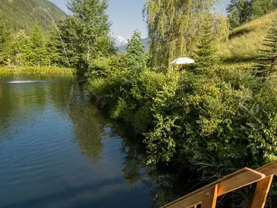 Schwimmteich3