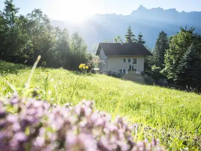 Ferienwohnung für 4 Personen (49 m²) in Sautens 2/10