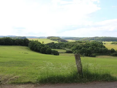 Am Waldrand