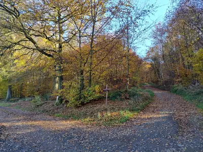 Fewo direkt "Am Waldrand"