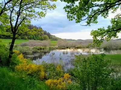 Wanderweg in der Nähe