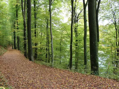 Rundwanderwege/Maare