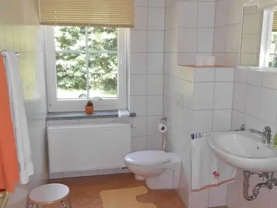 Ferienwohnung für 4 Personen (37 m²) in Sayda 10/10