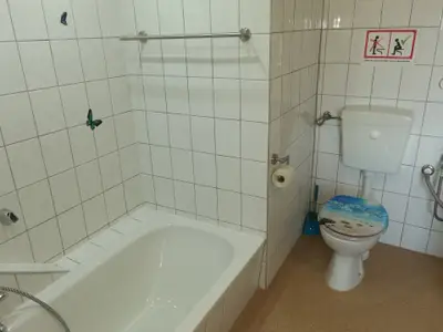 Ferienwohnung für 4 Personen (70 m²) in Schalkau 10/10