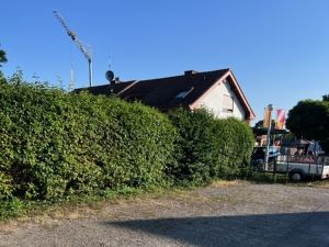 23475463-Ferienwohnung-3-Schallstadt-300x225-2