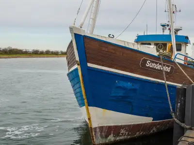 Hafen in Schaprode