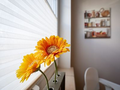 Ferienwohnung für 4 Personen (87 m²) in Scharbeutz 5/10