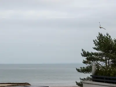 Ferienwohnung für 4 Personen (50 m²) in Scharbeutz 10/10