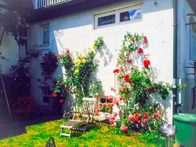 Ferienwohnung für 2 Personen (54 m²) in Klingenberg 9/10